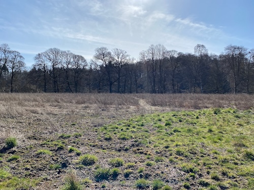 Point photography after